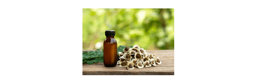 What are the benefits of Moringa oil for the face?