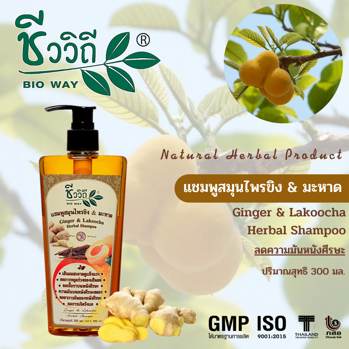 Bio Way Ginger & Lakoocha Herbal Shampoo (300 ml)