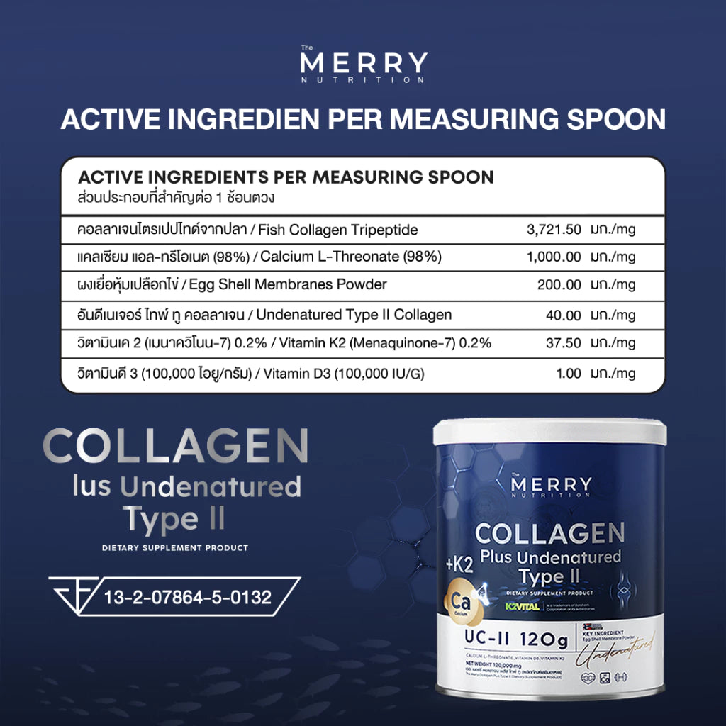 Type Plus The Merry Collagen Plus Undenatured Type II – ShopyThai