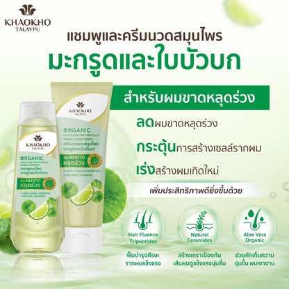 Khaokho Talaypu Organic Leech Lime and Centella Herbal Conditioner