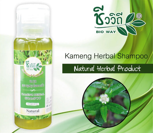 Bio Way Kameng Herbal Shampoo (240 ml)